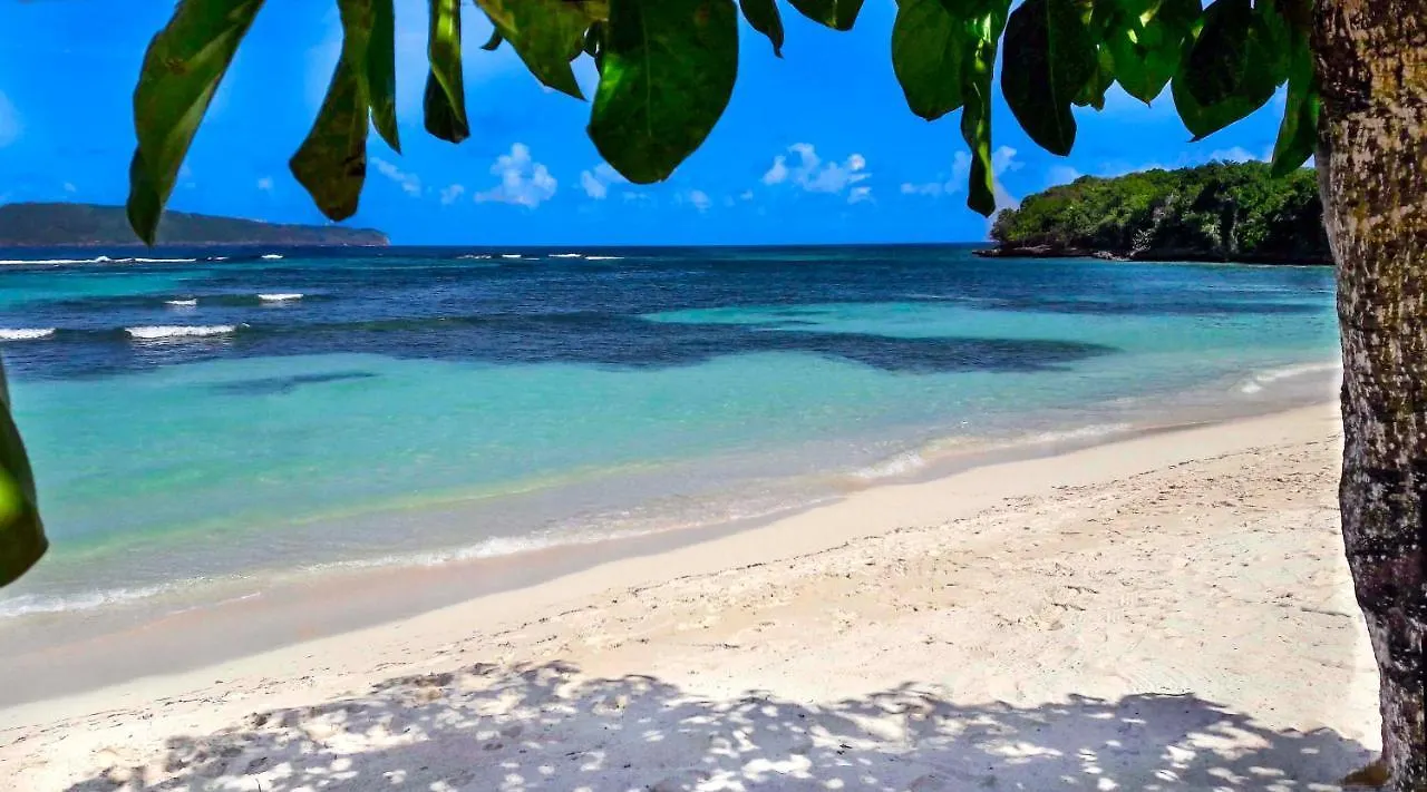 Villa Ixora - Ocean Front Las Galeras Dominican Republic